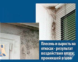 плесень в откосах плесень в откосах